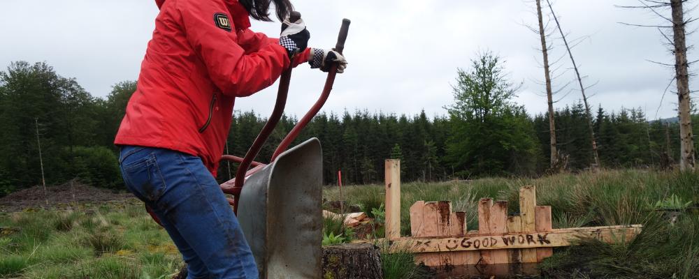 Reviving Peatlands for Climate and Biodiversity Weyrichsbruch 